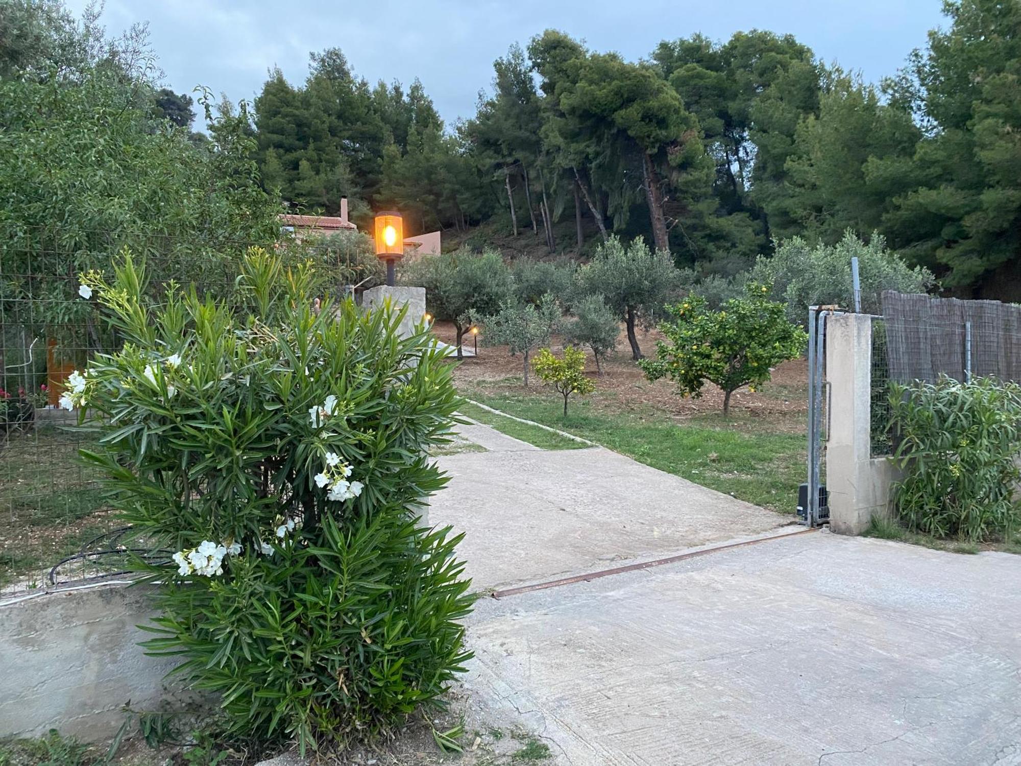Askalosia Villa Áyios Yeóryios Luaran gambar