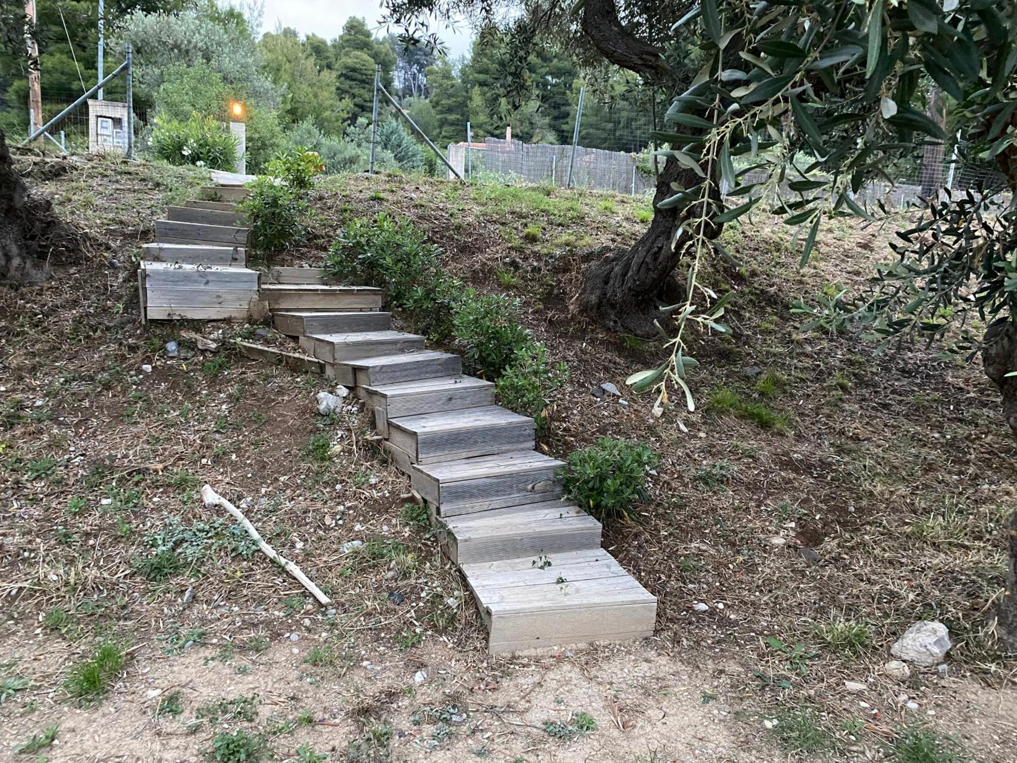Askalosia Villa Áyios Yeóryios Luaran gambar